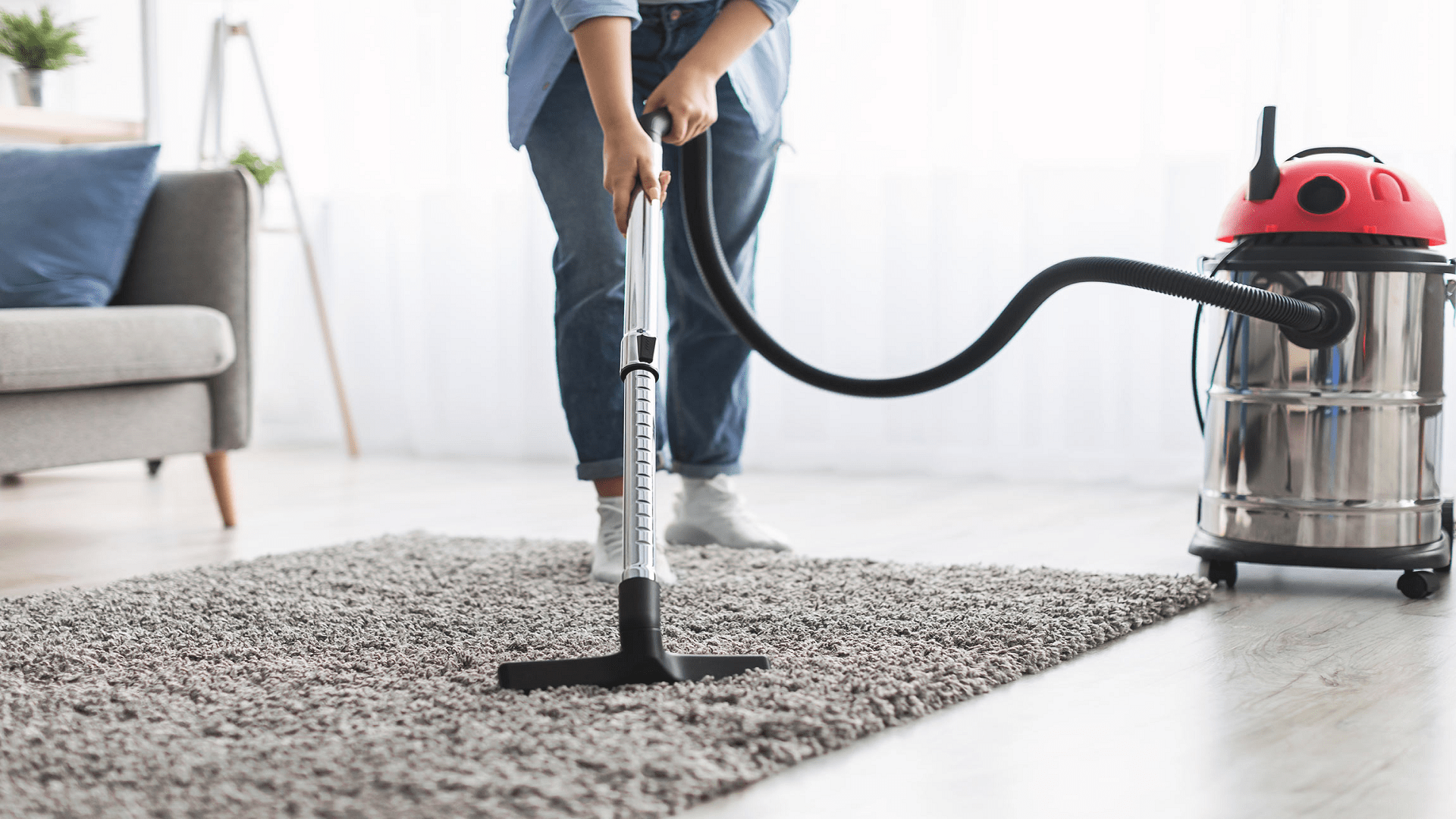 Rug Cleaning Naples Fl