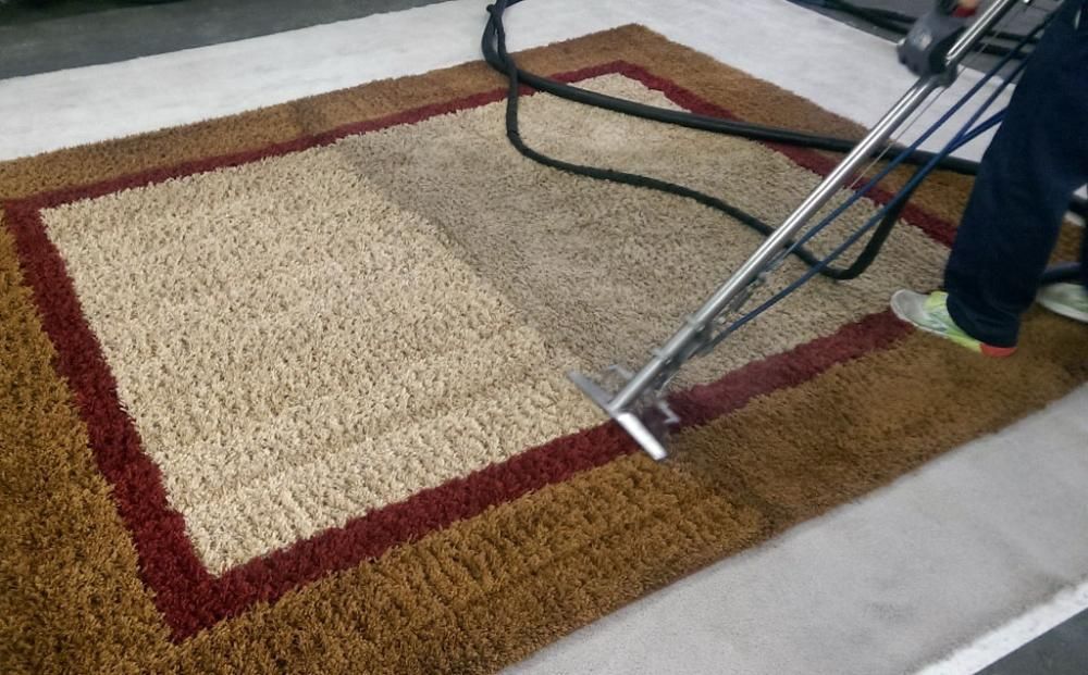Residential and Wool Rug Cleaning Services in Coral Gables FL