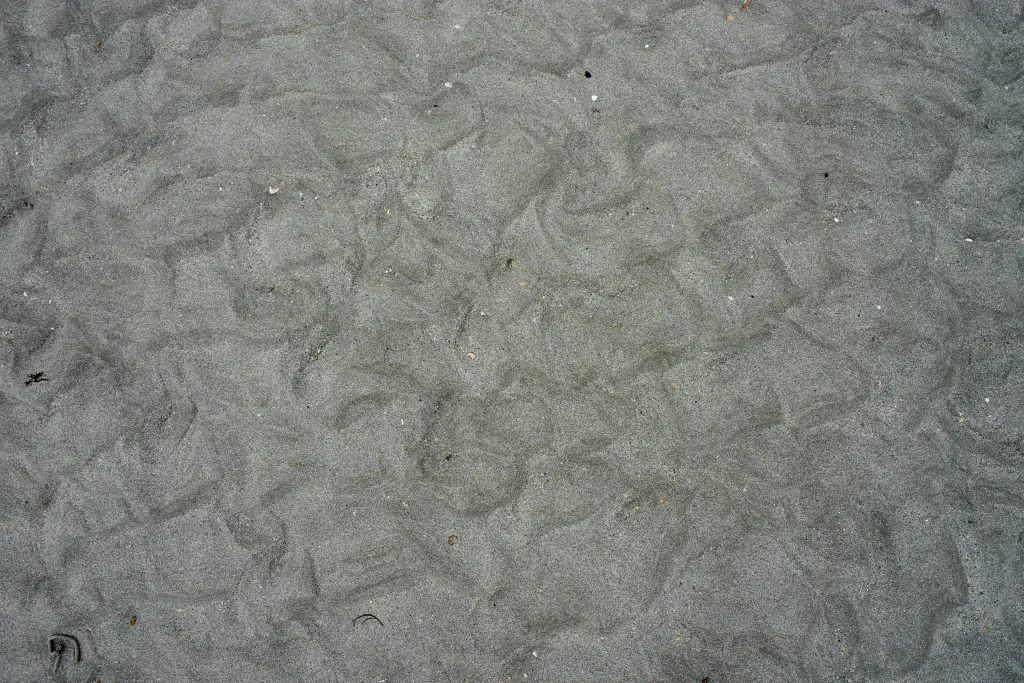 Residential carpet cleaning services